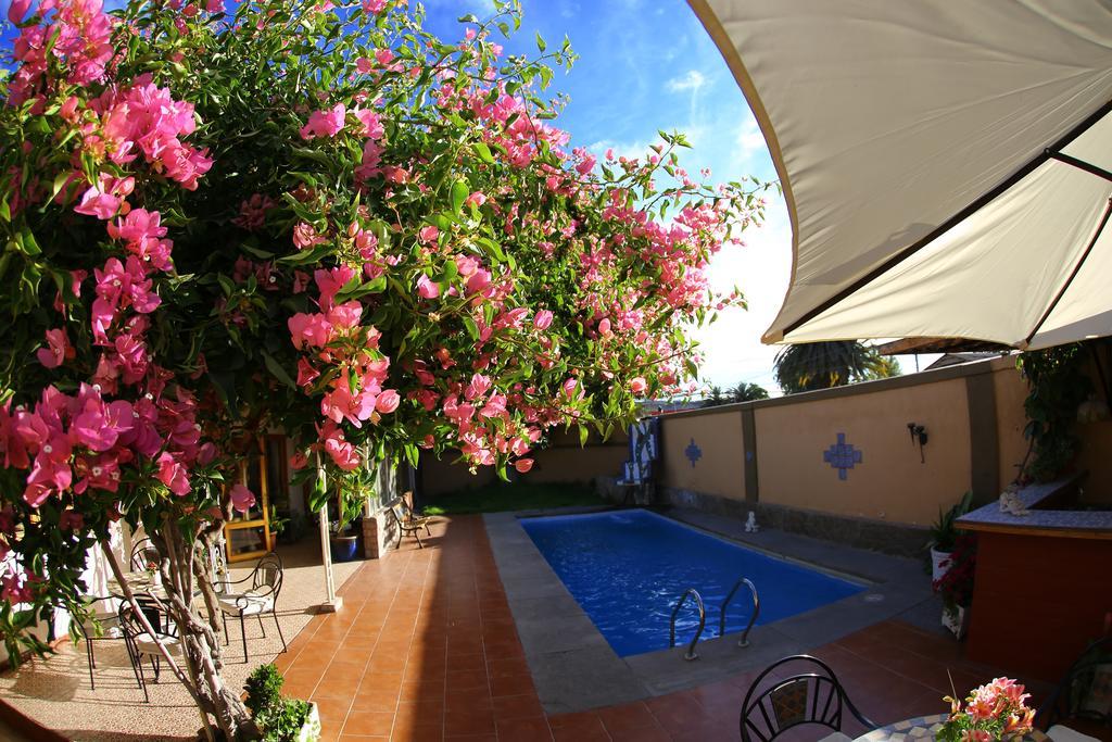 Hotel Puerto De Vega Vallenar Zewnętrze zdjęcie